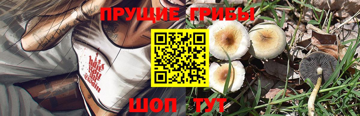 Галлюциногенные грибы мицелий Медногорск